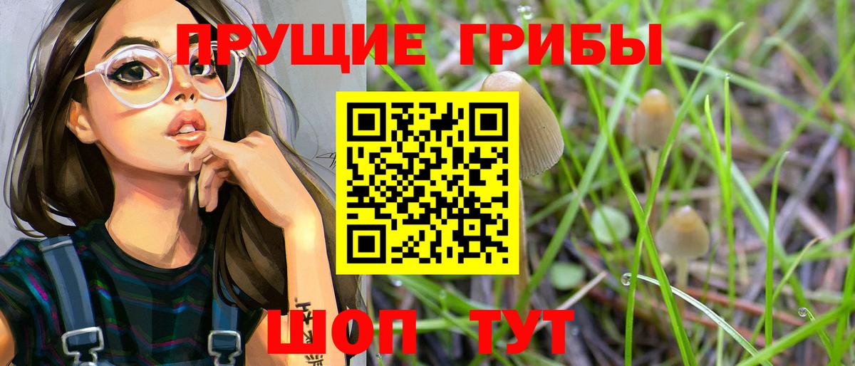Учалы  где продают наркотики  Вход с VPN  Псилоцибиновые грибы мицелий 